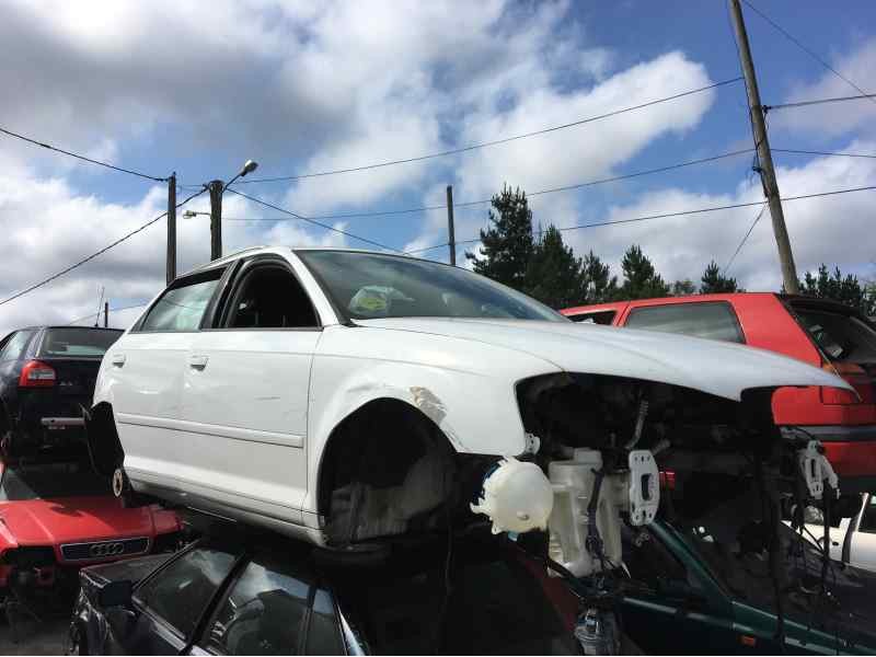 AUDI A3 SPORTBACK (8PA)