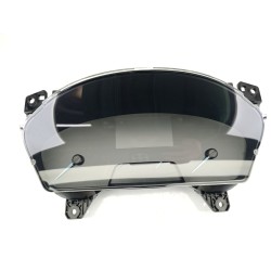 CUADRO INSTRUMENTOS 2473639 