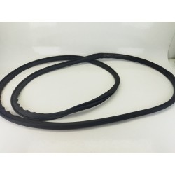 GOMAS CONTORNO PUERTA 769234JG0A 