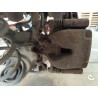 Recambio de pinza freno trasera derecha para citroën jumpy iii furgoneta (v_) 2.0 bluehdi 120 referencia OEM IAM 1617937580  