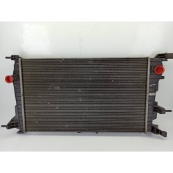 RADIADOR AGUA 214100068R 