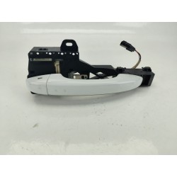MANETA EXTERIOR DELANTERA IZQUIERDA 806078862R / 806077319R 