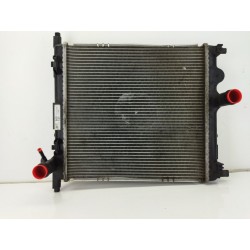RADIADOR AGUA 1S0121253AP 