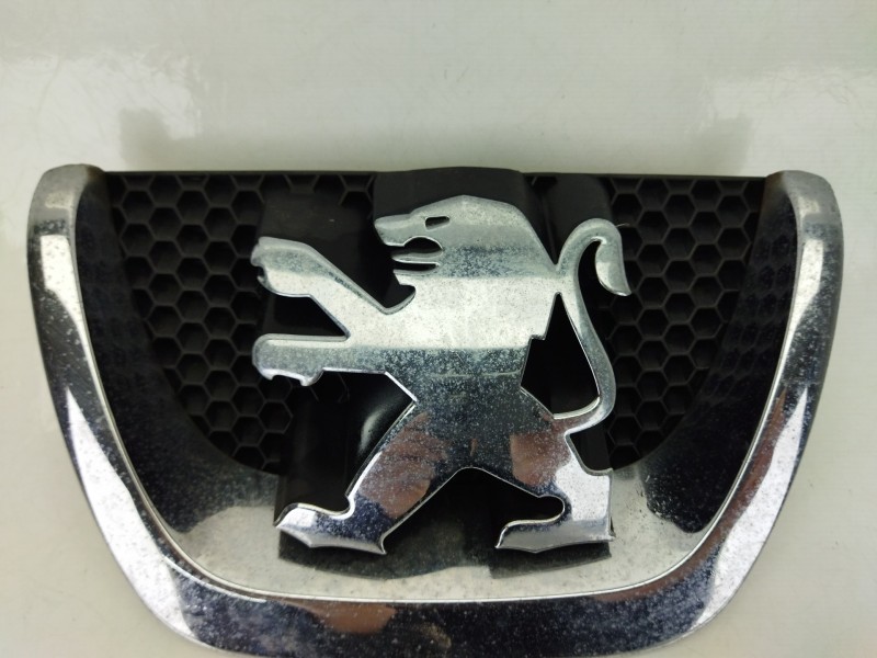 Recambio de rejilla delantera para peugeot 207/207+ (wa_, wc_) 1.6 hdi referencia OEM IAM 49670480  