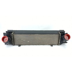 INTERCOOLER 17517600532 