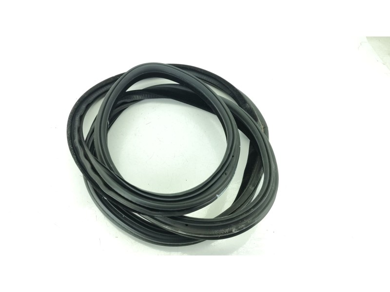 Recambio de gomas contorno puerta para bmw 3 gran turismo (f34) 320 d referencia OEM IAM 51767385027  