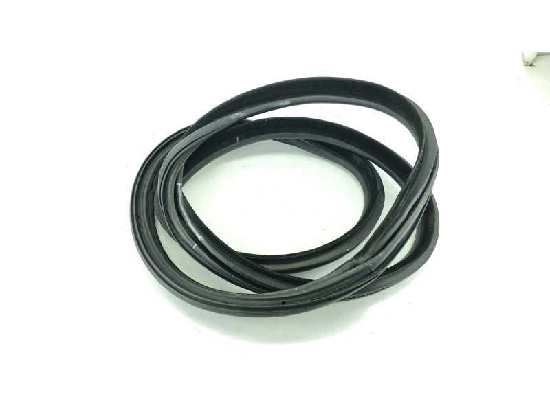 Recambio de gomas contorno puerta para bmw 3 gran turismo (f34) 320 d referencia OEM IAM 51767372189  