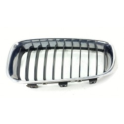 REJILLA DELANTERA 7294803 