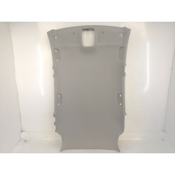 TECHO INTERIOR 10638554 