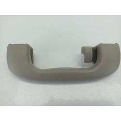 ASIDERO TECHO TRASERO IZQUIERDO 