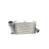 Recambio de intercooler para nissan qashqai ii (j11, j11_) 1.3 dig-t referencia OEM IAM 1441100Q4L  