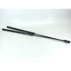 AMORTIGUADORES MALETERO / PORTON A2118800029 