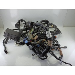 CABLEADO ELECTRICO 240125JT3C 