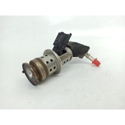 INYECTOR 9802763880 