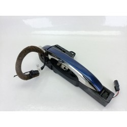 MANETA EXTERIOR TRASERA IZQUIERDA 806078862R 