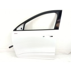 PUERTA DELANTERA IZQUIERDA 2768433 