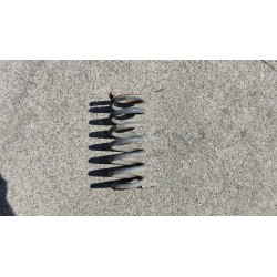 MUELLE AMORTIGUACION 