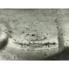 Recambio de catalizador para ford focus iii 1.5 tdci referencia OEM IAM F1F19N454AA  