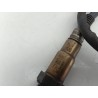 Recambio de sonda lambda para bmw serie 3 compact (e46) 2.0 diesel cat referencia OEM IAM 779382501  