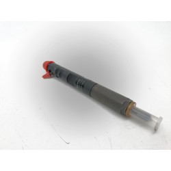 INYECTOR 166000897R 