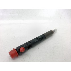 INYECTOR 166000897R 