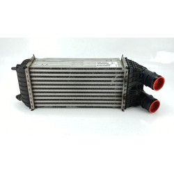 INTERCOOLER 9803900780 