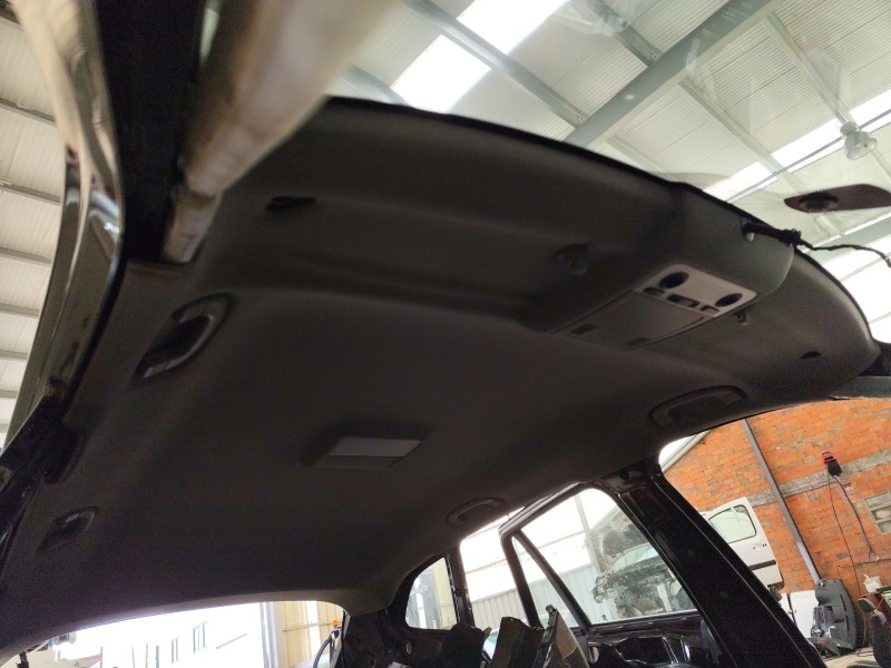 Recambio de techo interior para bmw x1 (e84) sdrive 20 d referencia OEM IAM 51442994073  