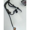 Recambio de cableado electrico para hyundai i30 station wagon (pde) 1.0 t-gdi referencia OEM IAM 91855G4041  
