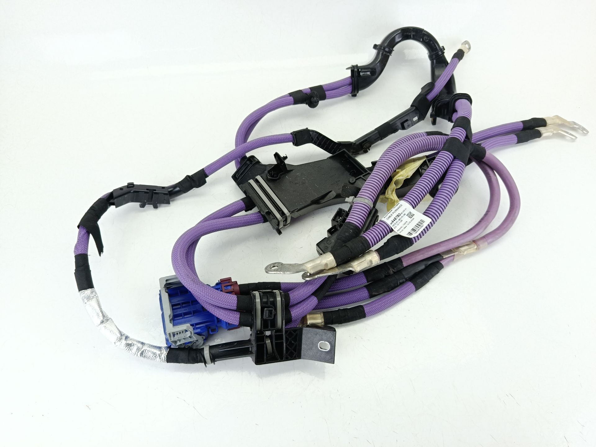 Principal
